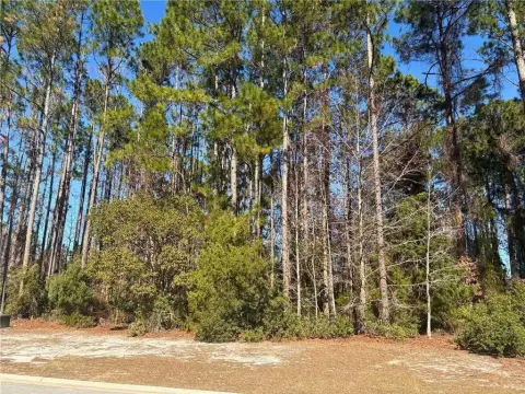 Osprey Cove Homesite Opportunity