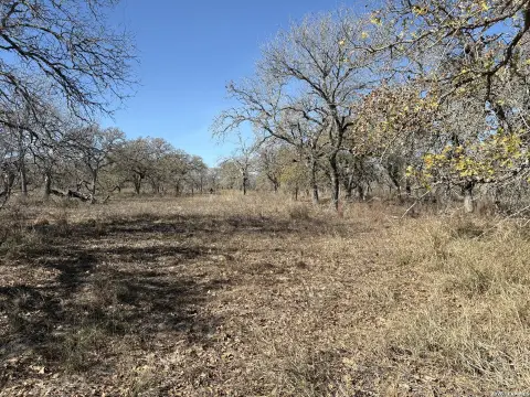Unrestricted Wooded Land in La Vernia