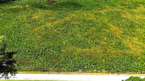 Acre Lot in New Hope