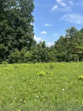 Waterfront Residential Building Lot