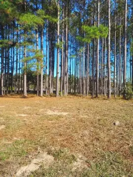 Premium Lot in Riverton Pointe