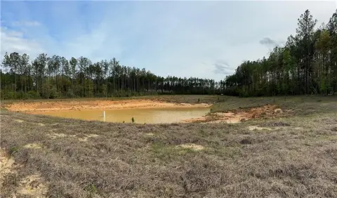 Chunchula Land with Private Pond