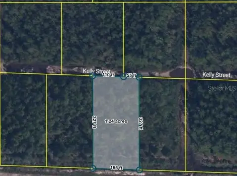 Vacant Land in Hastings, FL