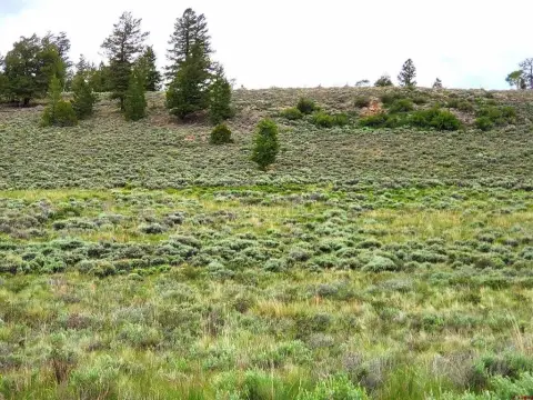 Powderhorn Land with Recreational Access