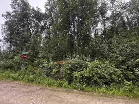 Wooded Corner Home Site