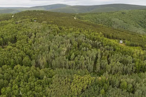 South-Facing Development Land