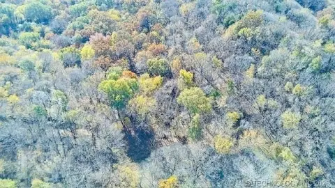 Heavily Wooded Timberland for Recreation