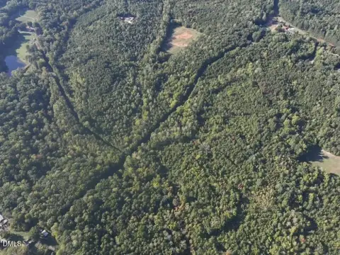 Wooded Recreational Land