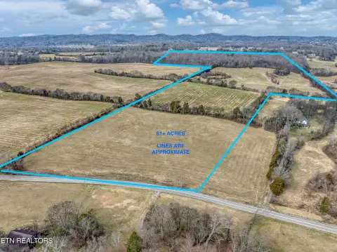 61 Acres in Blount County