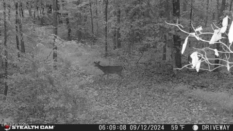 Rockwood Land Backing State Park
