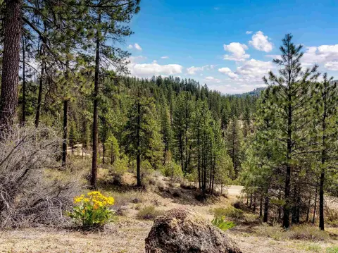Tranquil Land in East Boise