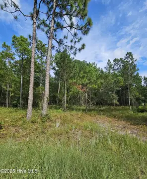 Residential Land in Holly Ridge