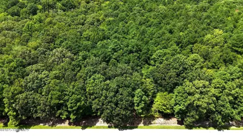 Wooded Lot Near Boat Ramp