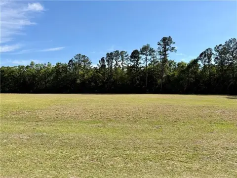 Unrestricted Land Near Woodbine, GA