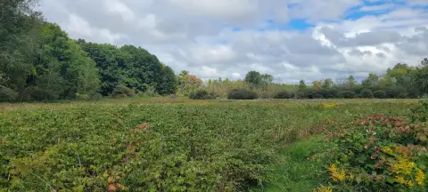 41 Acres Near Downtown Ludington