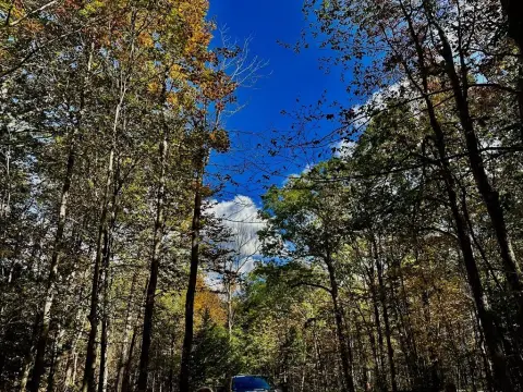 15 Acres Bordering State Land
