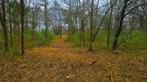 Secluded Land Near Lake Murray