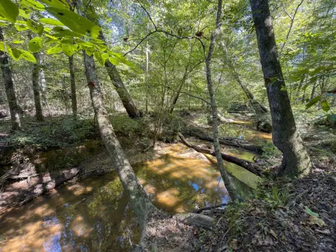 Hunting Land with Creek Frontage