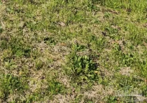 Agricultural Zoned Land with Hwy Frontage