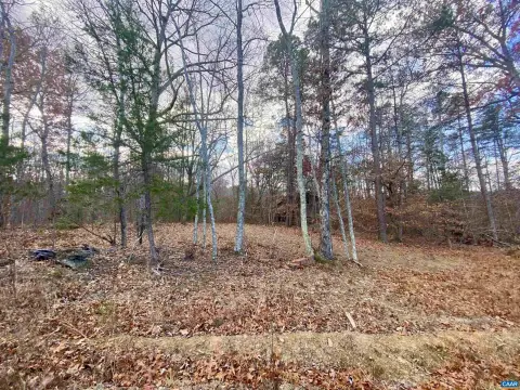 3-Acre Wooded Lot, Louisa, VA