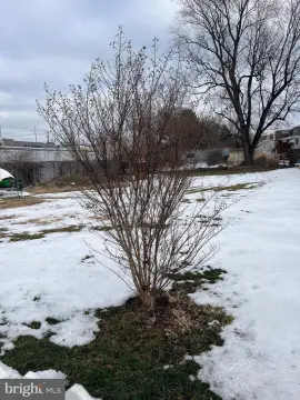 Eddystone Land for New Construction