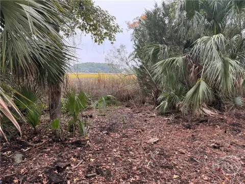 Savannah Marsh Front Land