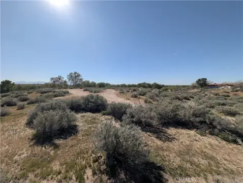 Flat High Desert Land Parcel