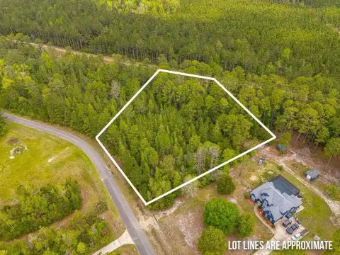 Woodbine, GA Residential Land