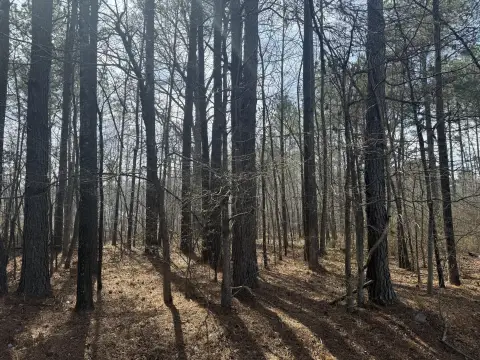 Land in Columbus, MS
