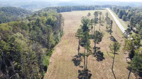 Ozark Land with Creek Frontage