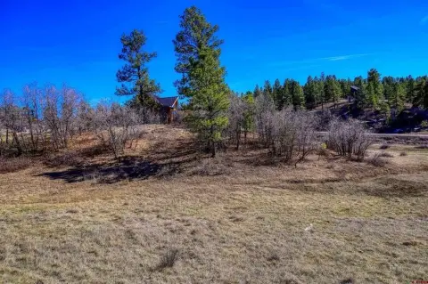 Residential Land in Pagosa Springs