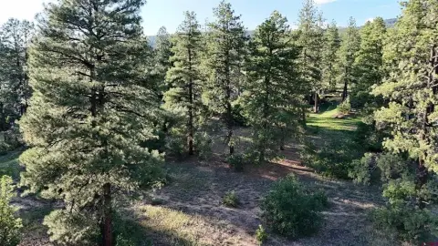 Durango Residential Lot with Views