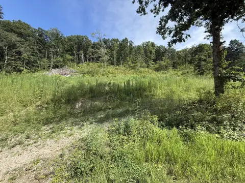 Recreation Land with Road Frontage