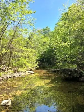 Secluded Land with Peaceful Stream