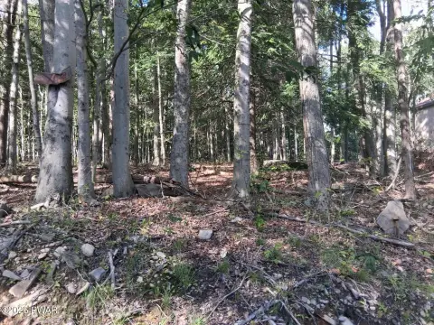Residential Building Lot in Gated Community