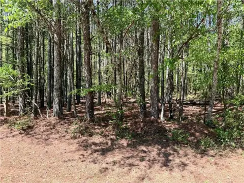 Wooded Lot in Cumming, GA