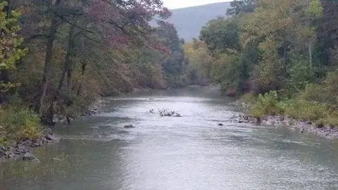 Agricultural Land Along River