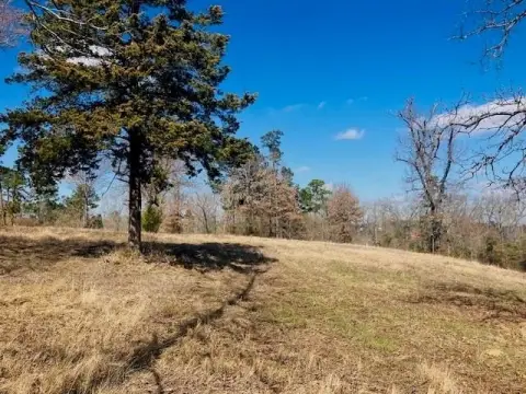 Winona, TX Land Homesite