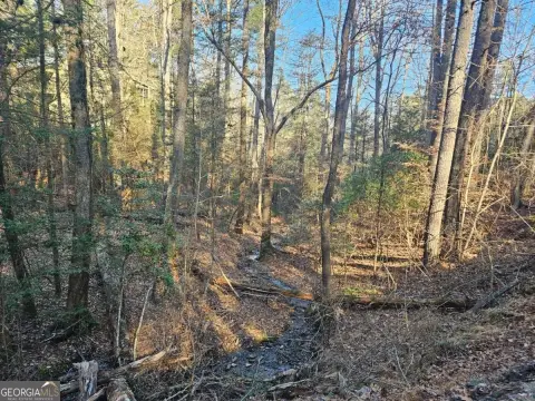 Eagle Mountain Lot in Ellijay