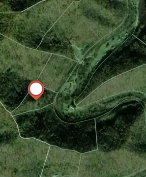 Wooded Recreational Land Tract