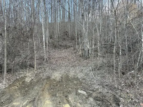 Mostly Wooded Recreation Land