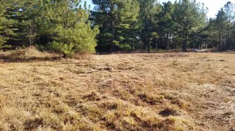 Wooded Recreation Land Parcel