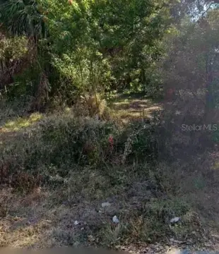 Residential Land in Orlando, FL