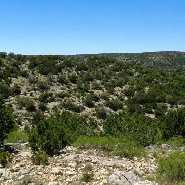 Hunting Land with Water Well