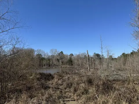 Columbus, MS Land Opportunity