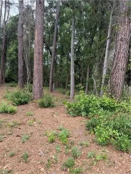 Residential Lot in Palm Lake