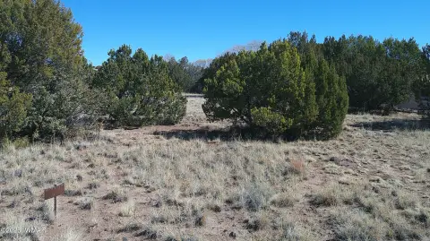 Concho, AZ Residential Lot
