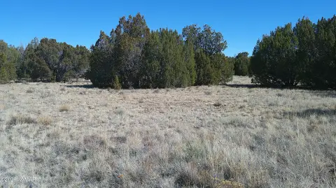Concho, AZ Land Parcel
