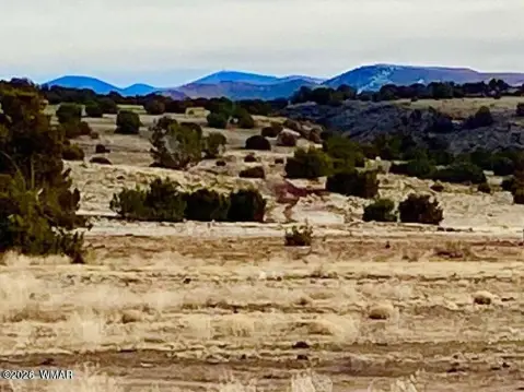 Concho, AZ Level Lot
