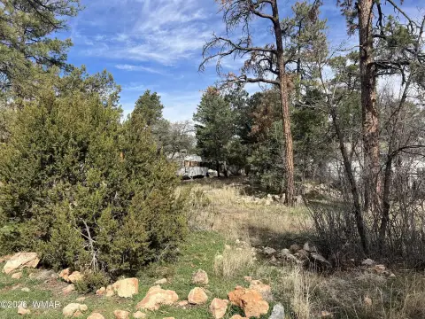 Land in Overgaard, Arizona